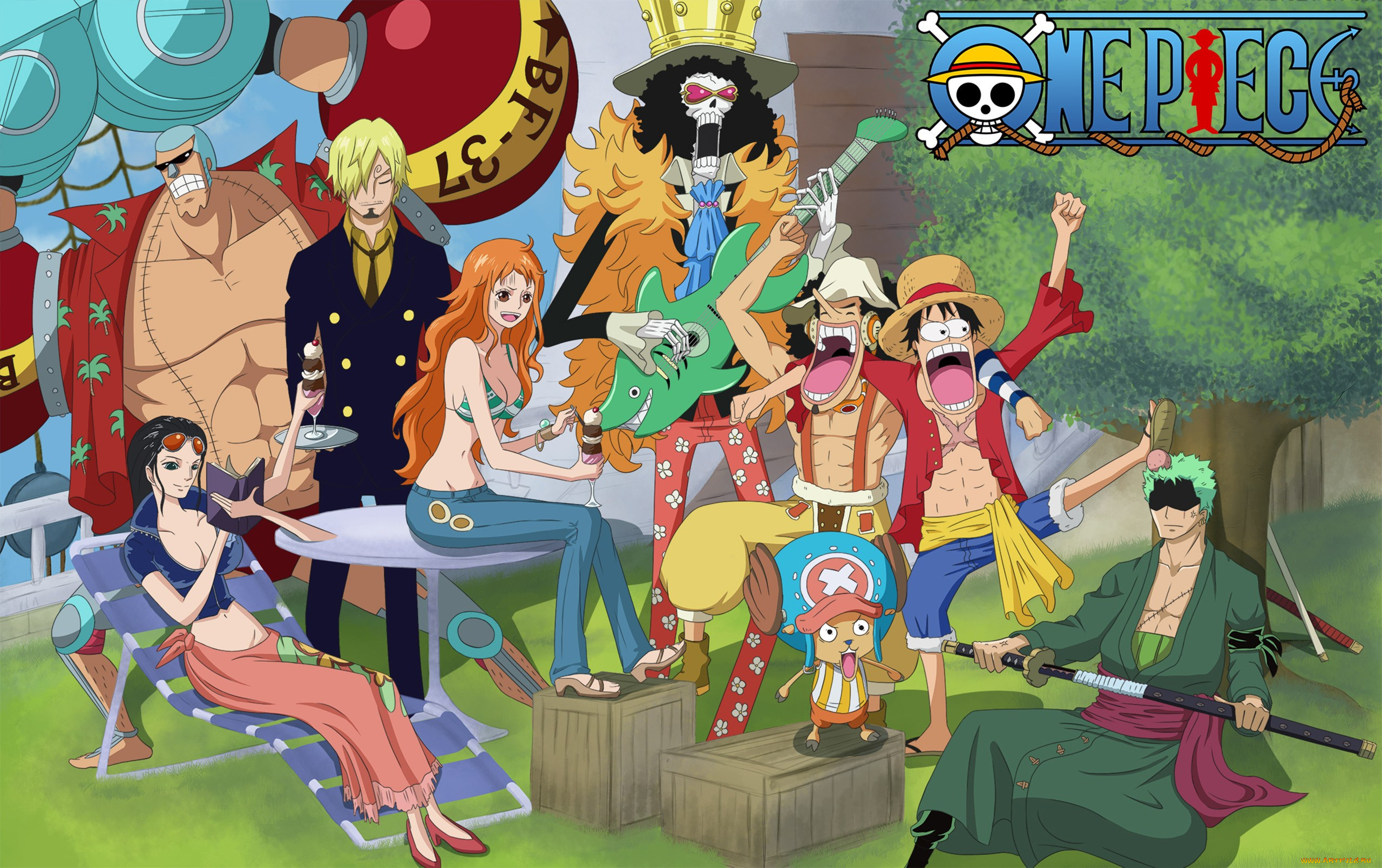 , one piece, one, piece, chopper